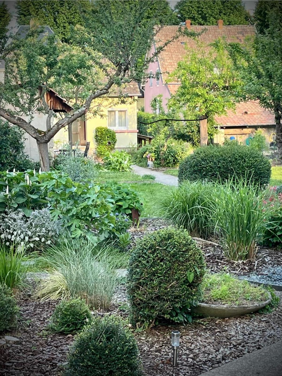 Le Beethoven Villa Colmar Exterior photo